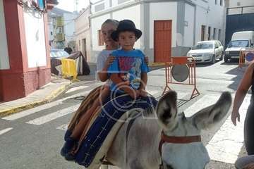  Lomo Magullo juega a las carreras de burros/TA.